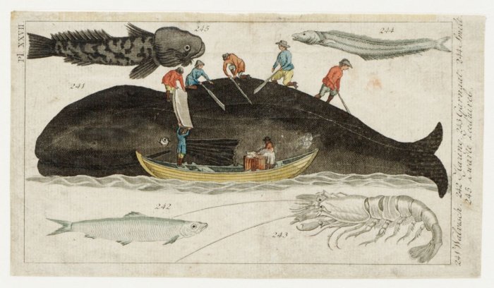 Zeelieden bij het afspekken van een walvis