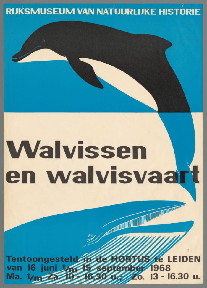 Affiche met een orka en blauwe vinvis