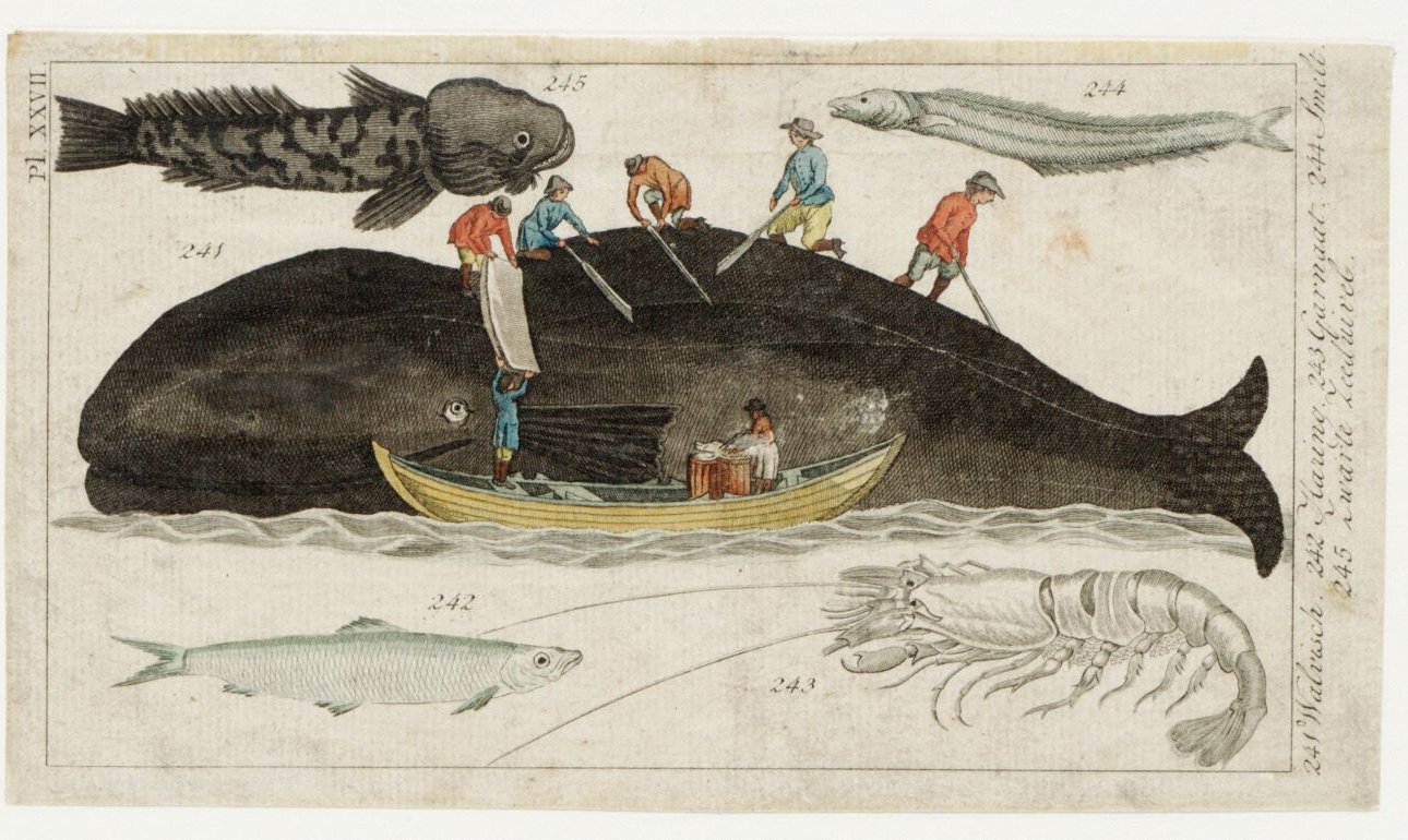 Zeelieden bij het afspekken van een walvis